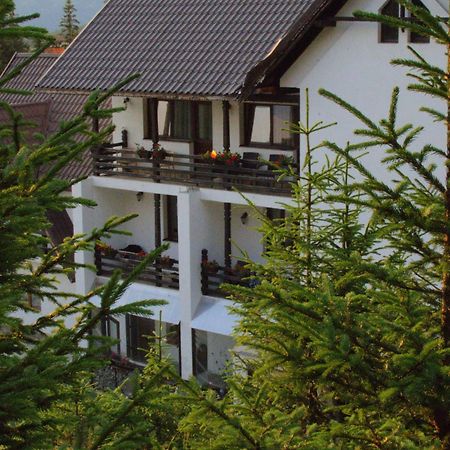 Cetina Hotell Ranca Eksteriør bilde